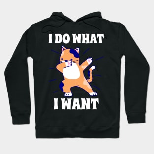 I do what I want dabbing cat Hoodie